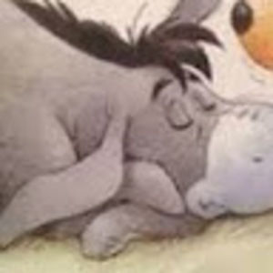 Meet your Posher, Erick